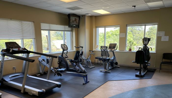 cardio area with rowers and spin bikes