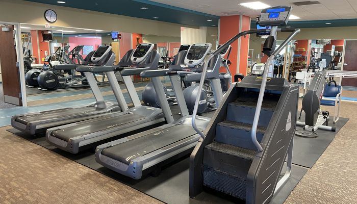 cardio area with treadmills, bikes, ergometers and stair climbers