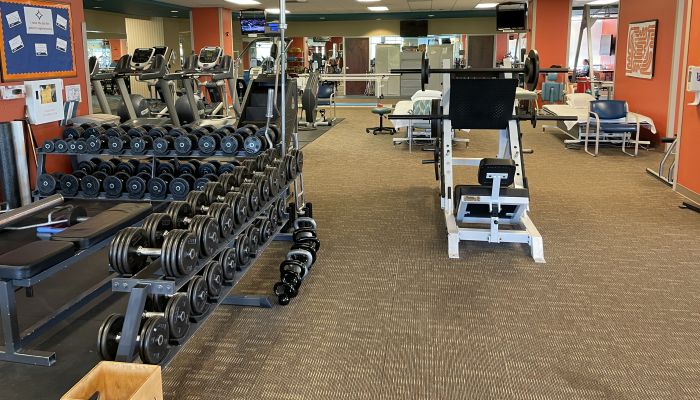 free weights and weight machines